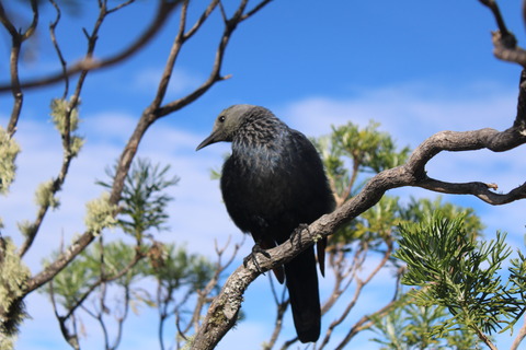 F3404236-D6B2-47D0-A338-2525C91A2170