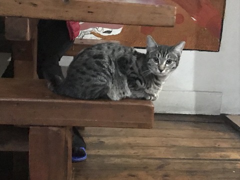 61B8BE57-468F-43EE-A69D-AAD6635AA5E1