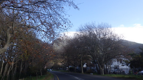 BBD22CBB-0527-4E5A-AC9B-7A5DF3AAA4A1