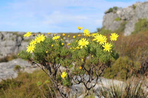 71B08C43-EF6A-4DD5-BB02-2066E246E907