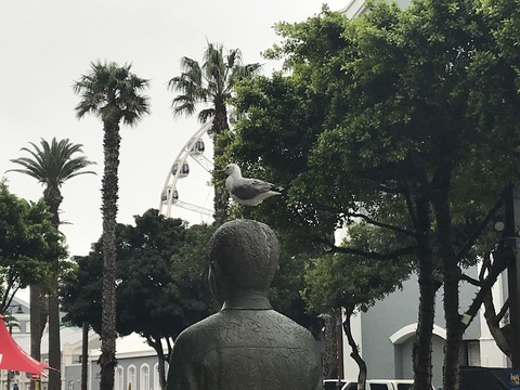 AB6D34AB-CC3B-4962-9CBF-4A94083C9870