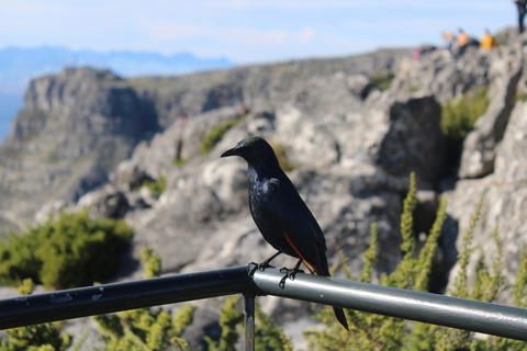 F4AAB0D7-04E5-4C7F-8050-33B28E8B86AB