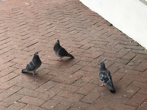 114532A4-D829-4226-BD23-9B93552CFFBF