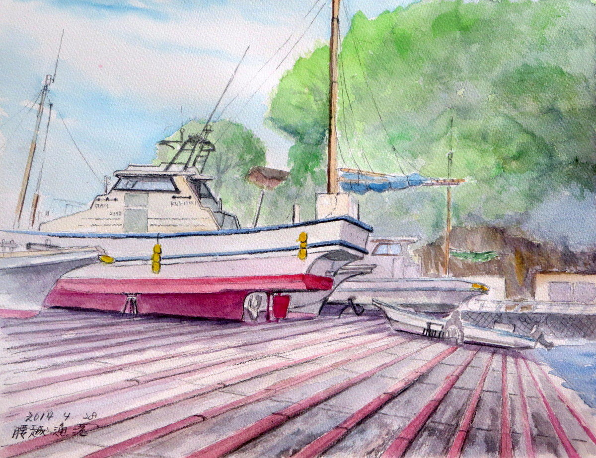 水彩画 シャーク 絵画 makochin 通販 16279957｜Creema(クリーマ)