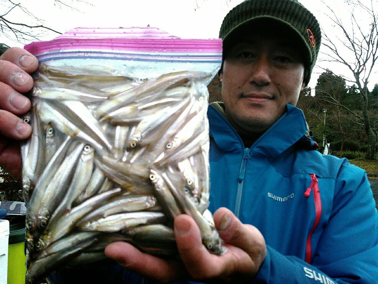 ワカサギ : 芦ノ湖 福井釣船店 - 3e76a143 ワカサギ : 芦ノ湖 福井釣船店 - 3e76a143