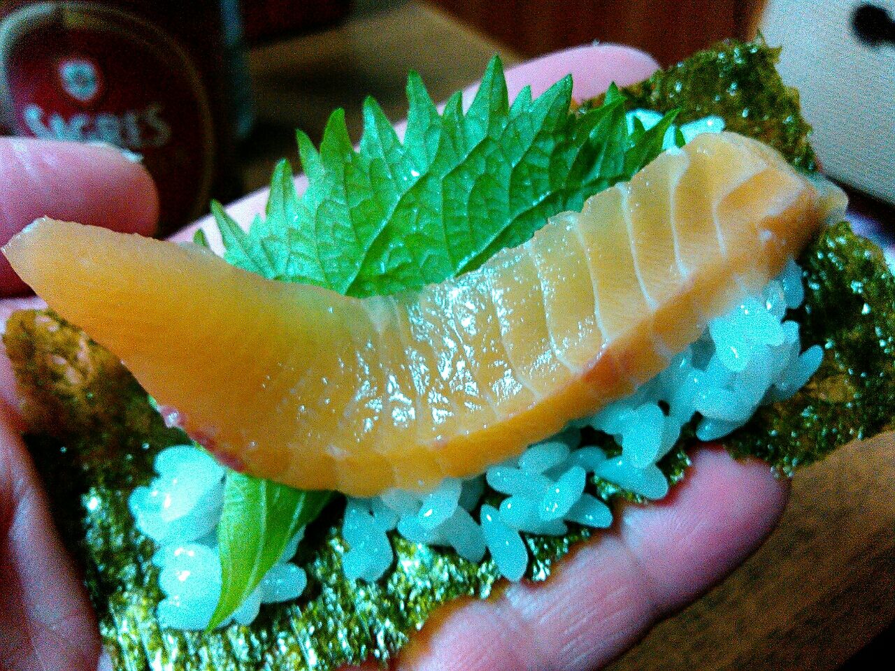 サクラマス 味の旬は今 芦ノ湖 福井釣船店