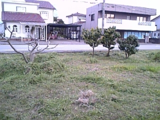 pre