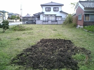 kaikon