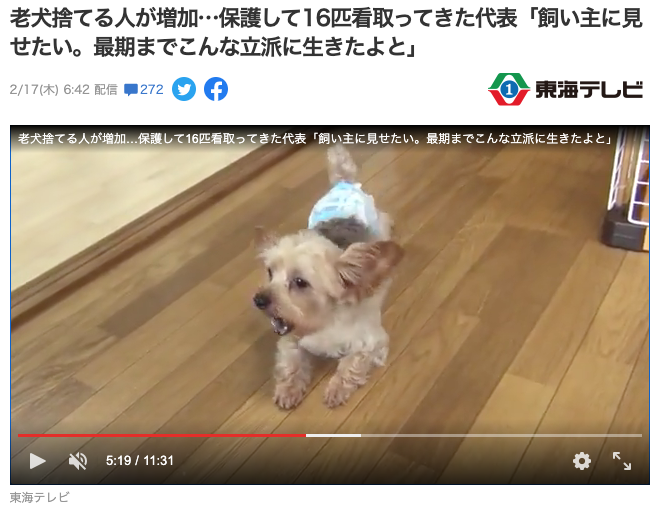 老犬捨てる人が増加 保護して16匹看取ってきた代表 飼い主に見せたい 最期までこんな立派に生きたよと Npo法人 福井犬 猫を救う会
