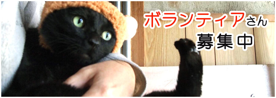 NPO法人 福井犬・猫を救う会