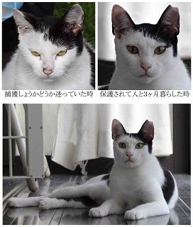 仮名ミミちゃんの昔と今0827