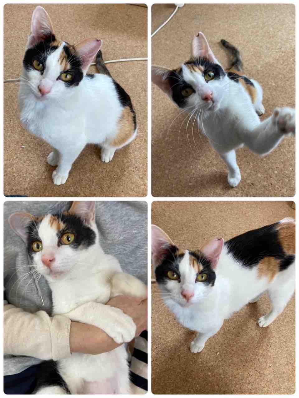 Ozazre8orpaklm Ozazre8orpaklm