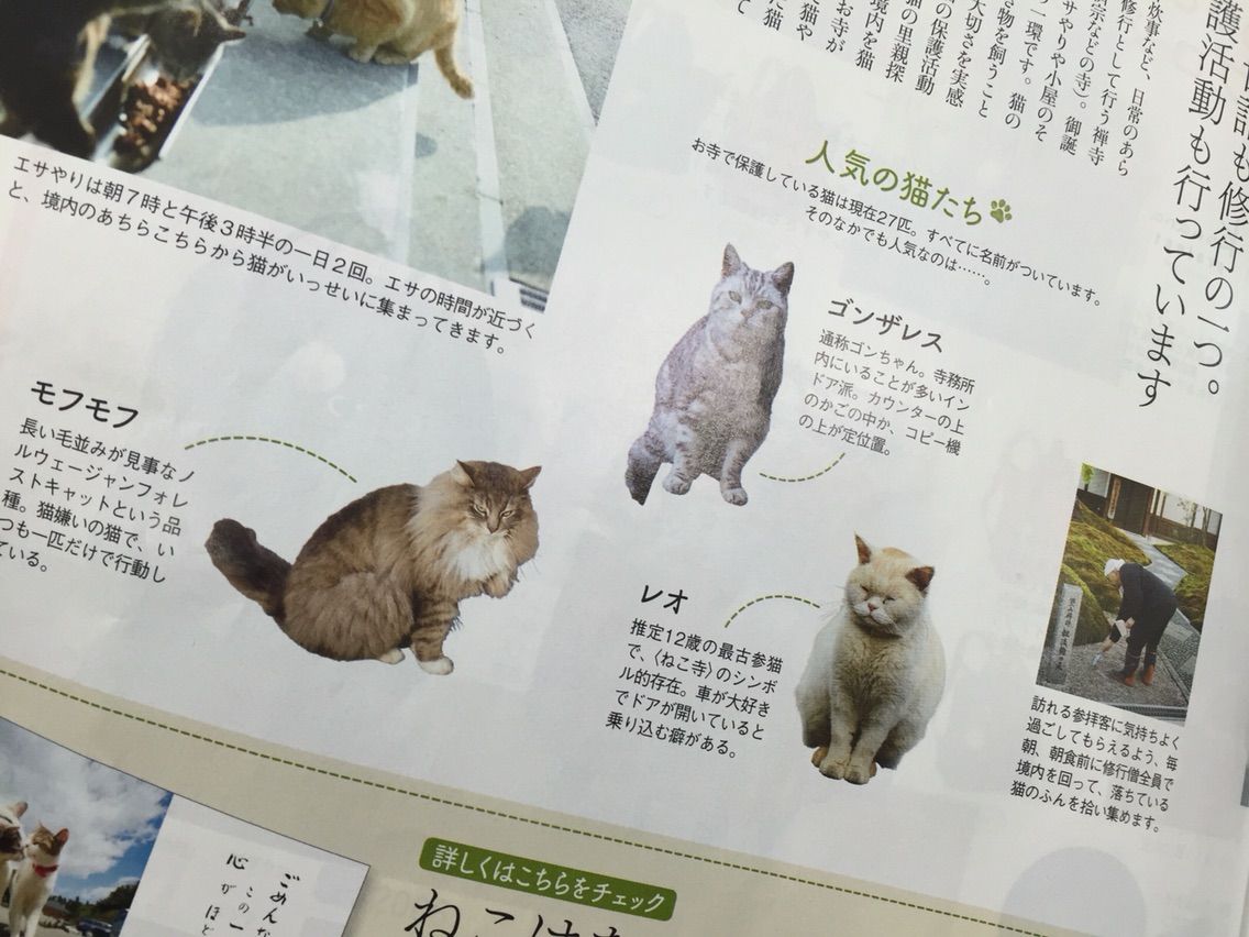 日日是好日 越前市の御誕生寺さんへ Npo法人 福井犬 猫を救う会