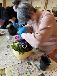 96DC9985EB7A09DC248ADE50B2763325B370B742