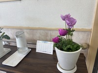 IMG_5585