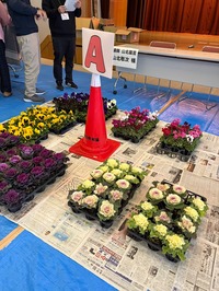 114AC0A22944CC8F48C4D5B4FE11C03DFE939544