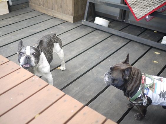 ���ȡ�����1