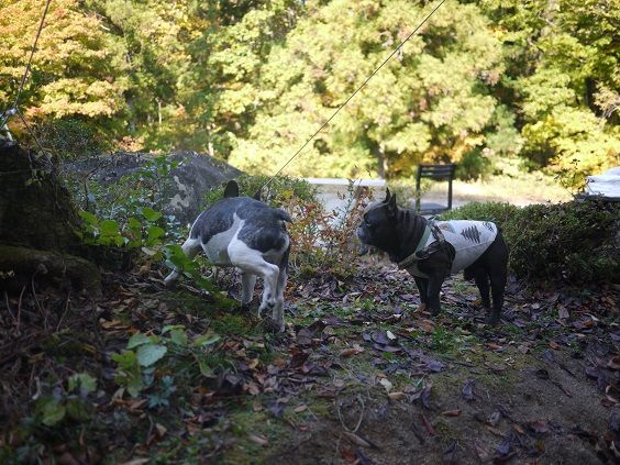 �ޡ����󥰸�2