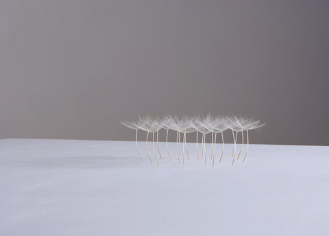 CL_littleagglomeration