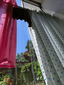 CIMG0094