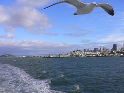 sanfrancisco picture 097