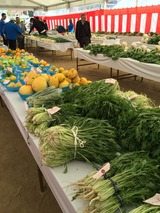 IMG_0258