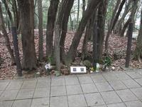 DSCF4037