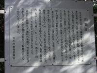 DSCF3528