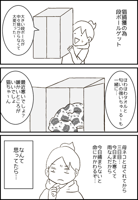 段ボール