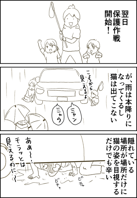 hogo