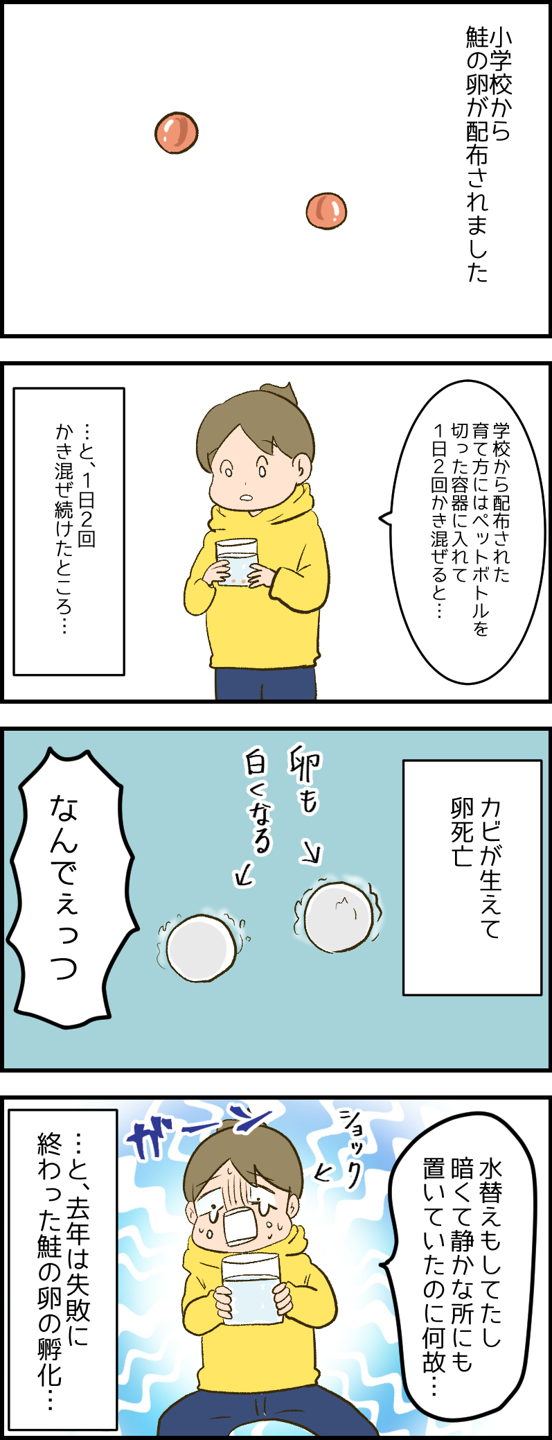 鮭の卵を貰ってきました 健康主婦のゆるり日和 旧 天使な小悪魔たち Powered By ライブドアブログ 鮭の卵を貰ってきました 健康主婦のゆるり日和 旧 天使な小悪魔たち Powered By ライブドアブログ