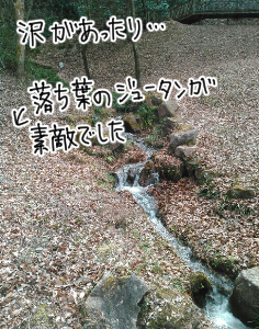 ムーミン谷17