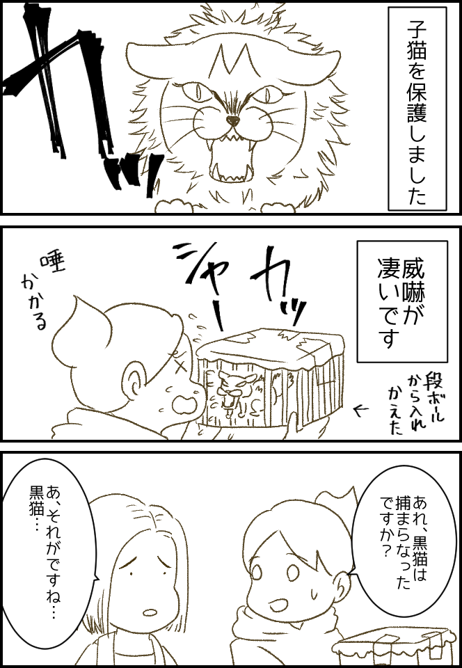 子猫保護したけど黒猫の行方がu2026⑧ : 健康主婦のゆるり日和(旧・天使な 