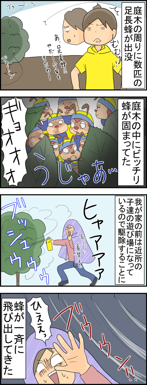 ハチ1