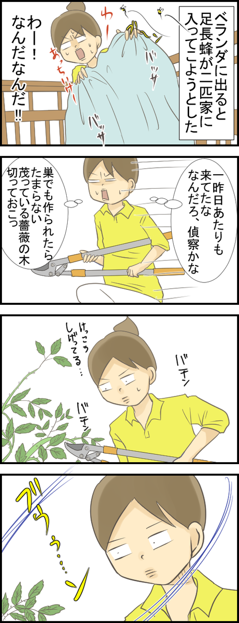 蜂１