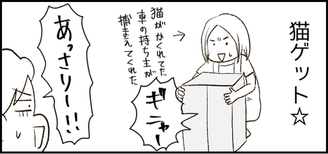 段ボール2