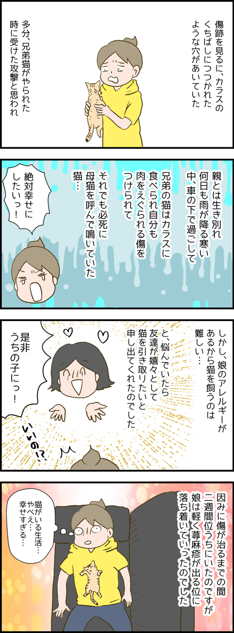 怪我2