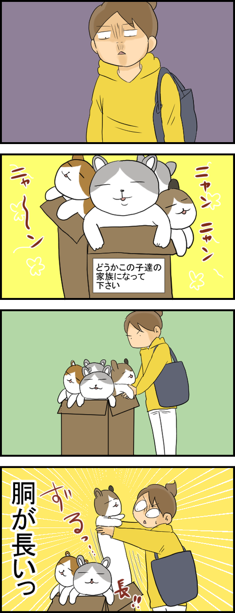ねこ1