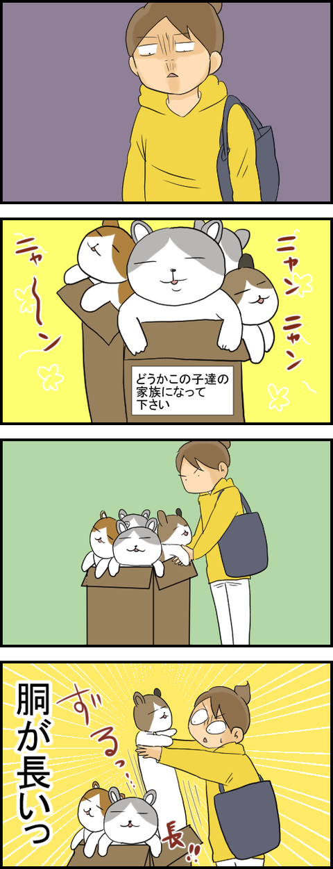 ねこ１