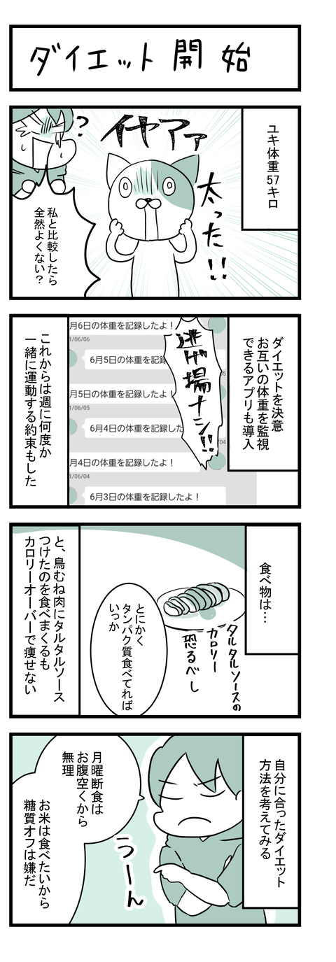 ダイエット3