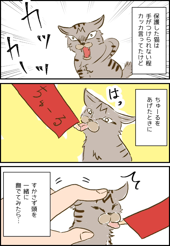 保護猫 思ったよりデレるの早かった と お知らせ 健康主婦のゆるり日和 旧 天使な小悪魔たち Powered By ライブドアブログ 保護猫 思ったよりデレるの早かった と お知らせ 健康主婦のゆるり日和 旧 天使な小悪魔たち Powered By ライブドアブログ