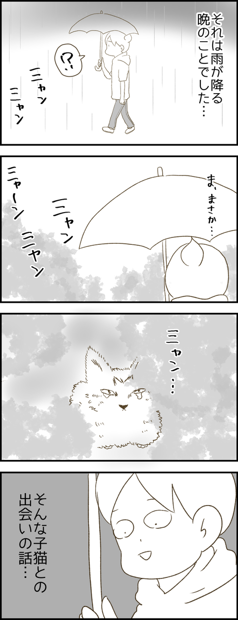 猫1