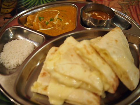 narayani3