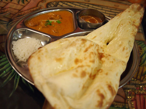 narayani2