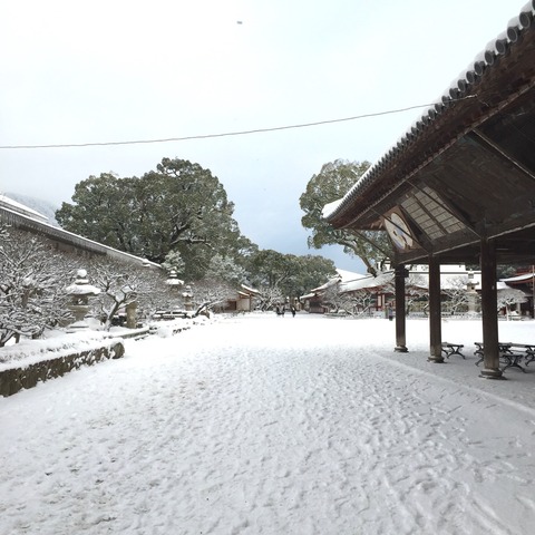 太宰府の大雪。2016年1月