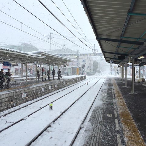 太宰府の大雪。2016年1月