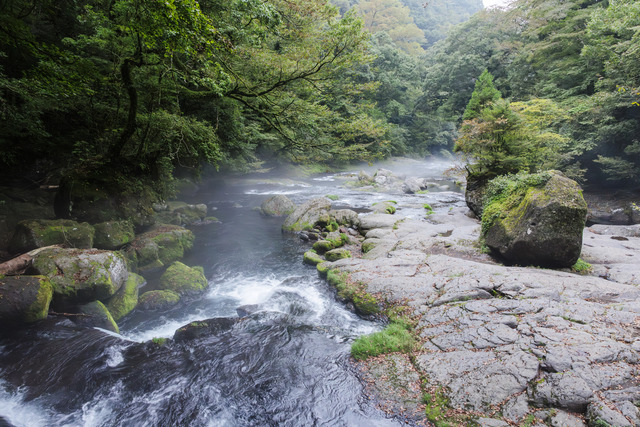 熊本県 菊池観光協会「菊池渓谷マインドフルネスツーリズム」2025年