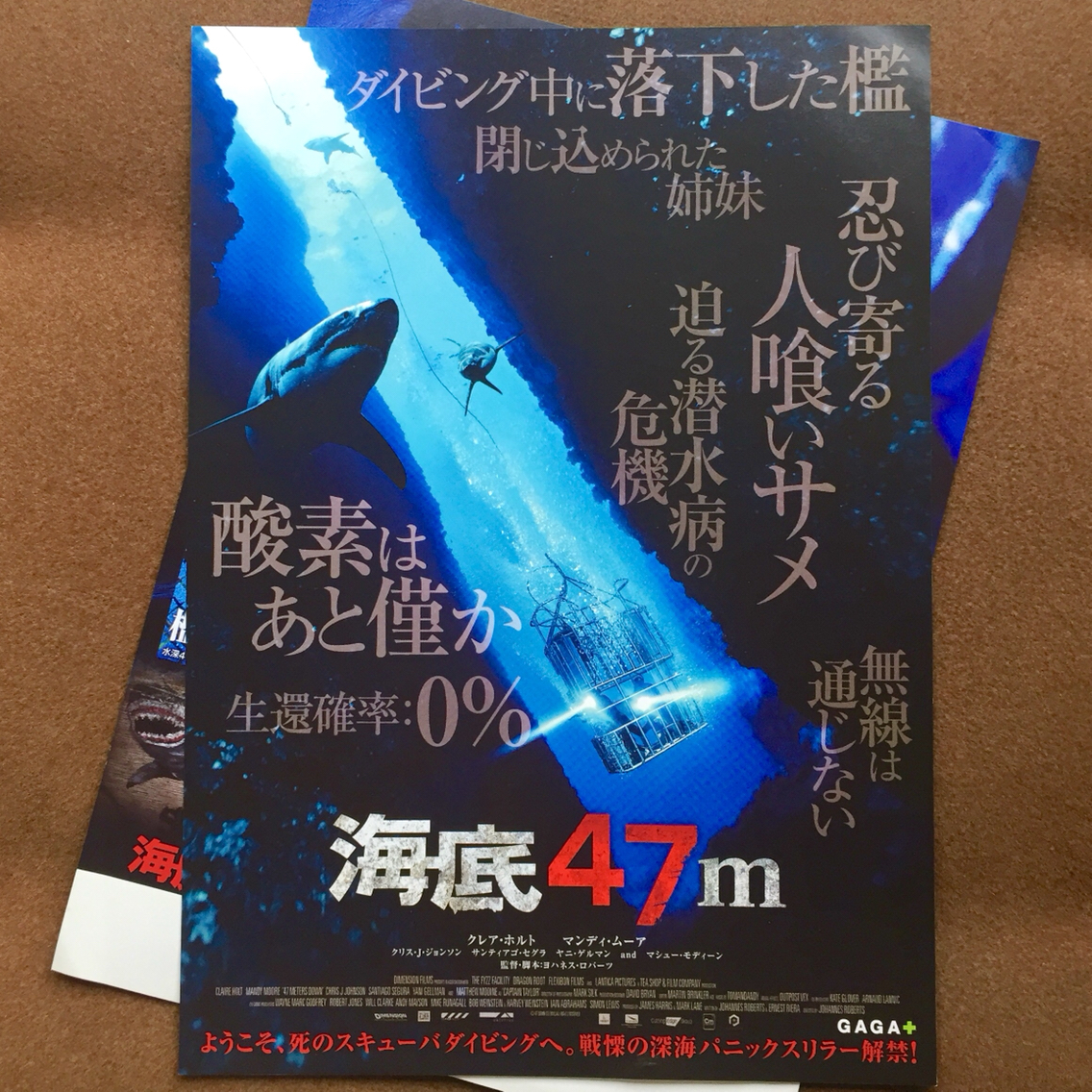 映画 海底47m 福岡で9 16 土 公開 檻ダイビングでサメ鑑賞中にワイヤーが切れ 海底から脱出するパニックスリラー フクオカーノ 映画 海底47m 福岡で9 16 土 公開 檻ダイビングでサメ鑑賞中にワイヤーが切れ 海底から脱出するパニックスリラー フクオカーノ