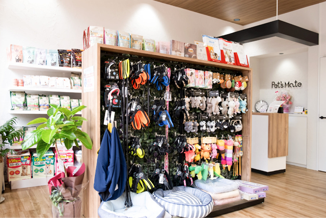 ペッツメイト天神大名店「レア犬祭」福岡市