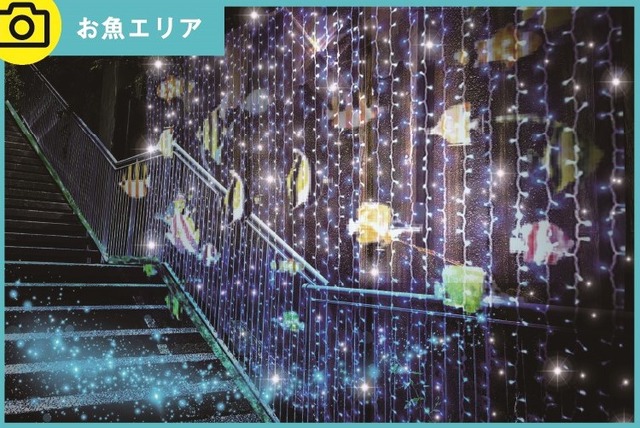 お魚エリア